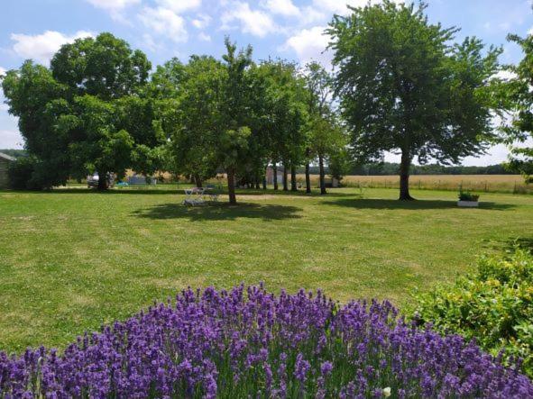 Gite De La Petite Forge Clevilliers Exterior photo